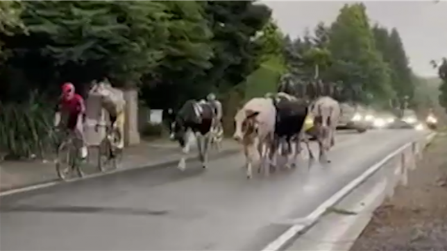 Les faits se sont déroulés lors de l’étape d’hier entre Welkenraedt et Seraing, en province de Liège, vers 16h15 peu après la célèbre côte de la Roche-aux-faucons, sans causer de dommages.