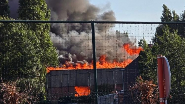 ccdcbd4c-ef60-a159-2a09-c198689ed422-IMG_6977 (2).jpeg