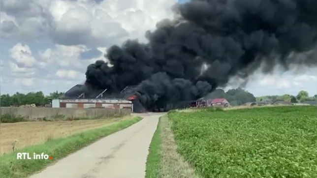 Des habitants du centre de Chastre ont té invités à rester chez eux. En cause : l'incendie d'un hangar agricole qui a dégagé d'impressionnantes fumées noires. Les pompiers ont été déployés en nombre. On ignore encore la cause du sinistre.