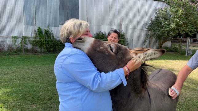 RTL INFO 13h Clean.13_13_18_23.Still001.jpg