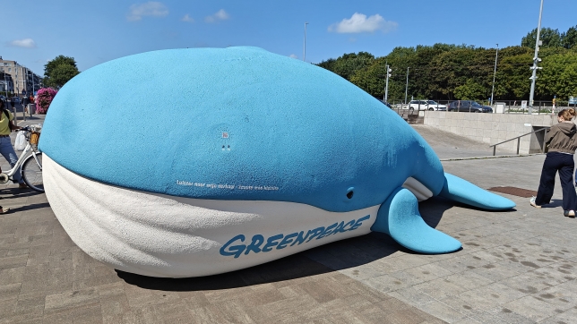 BELGA PHOTO MAAIKE TIJSSENS