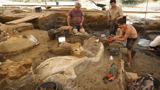 Site d’excavation d’Angeac-sur-Charente le 19 juillet dernier