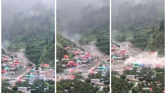 ipiccy_image (62).jpg