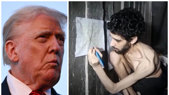 ipiccy_image (63).jpg