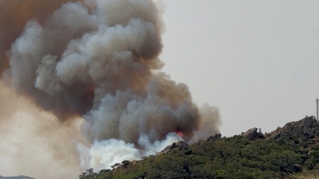 Smoke rises from a wildfire in Tarifa, Spain, August 5, 2025, in this screengrab obtained from a video. ISMAEL BAYARRI JASO/via REUTERS THIS IMAGE HAS BEEN SUPPLIED BY A THIRD PARTY. MANDATORY CREDIT. NO RESALES. NO ARCHIVES.