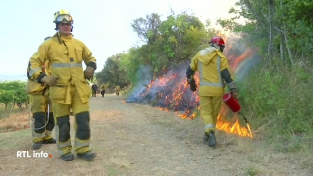 Intervenir sur un feu de forêt n'est jamais facile pour les pompiers. Pour maîtriser ce type d'incendie, il faut de gros moyens et surtout des techniques particulières.