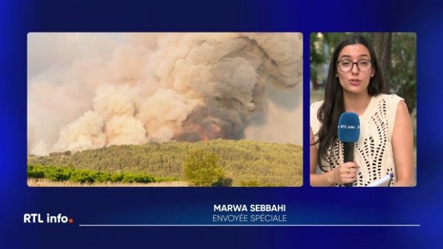 Avec ses flammes gigantesques encore incontrôlables, le plus gros incendie de l'été en France à ce stade a fait un mort et neuf blessés, dont un grave, dans l'Aude, où le sinistre a déjà parcouru 16.000 hectares mercredi.