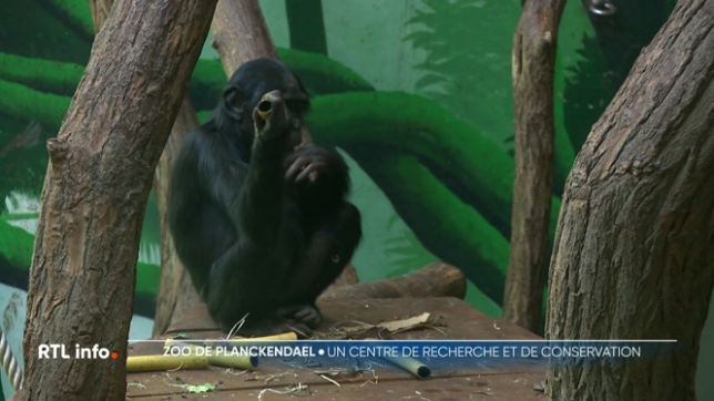 C'est un parc animalier près de Malines qui attire beaucoup de touristes, mais c'est aussi un centre recherche très important.