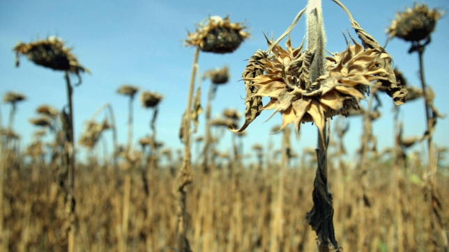 Lionel BONAVENTURE / AFP