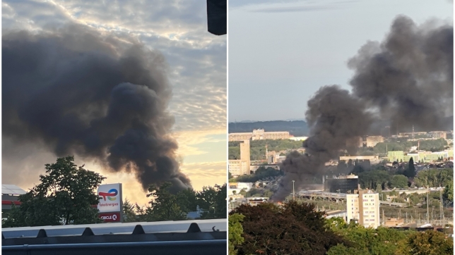 ipiccy_image (78).jpg