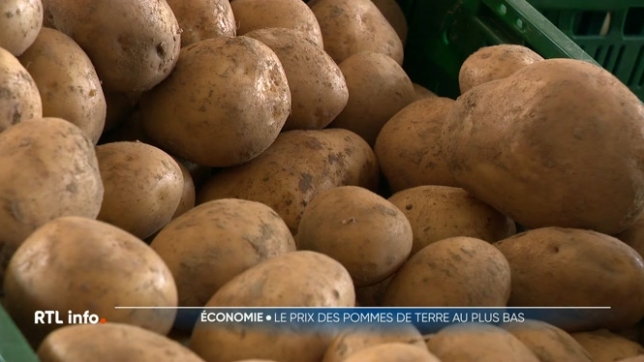 Le prix de la tonne de pommes de terre sur le marché libre a chuté à 15 euros contre 150 euros l'an dernier. Comment expliquer cette baisse radicale et quelles en seront les conséquences ?