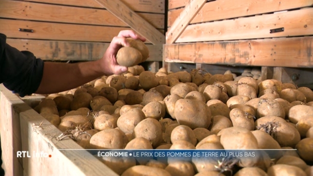 Le prix de la tonne de pommes de terre sur le marché libre a chuté à 15 euros contre 150 euros l'an dernier. Comment expliquer cette baisse radicale et quelles en seront les conséquences ?