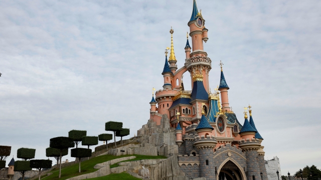 The Sleeping Beauty-inspired castle