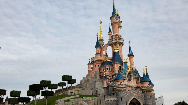 The Sleeping Beauty-inspired castle