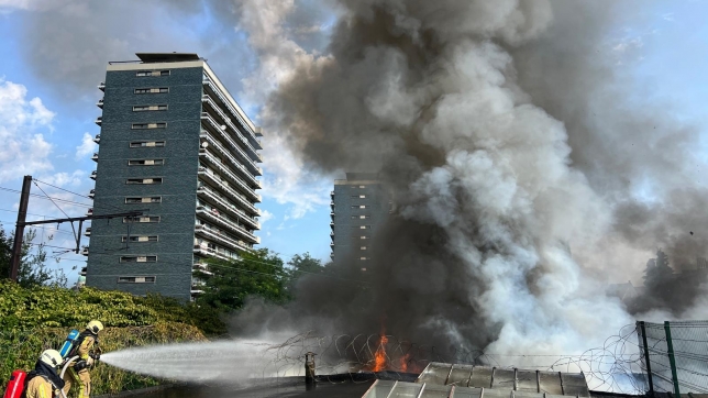 WhatsApp Image 2025-08-12 at 10.12.38.jpeg