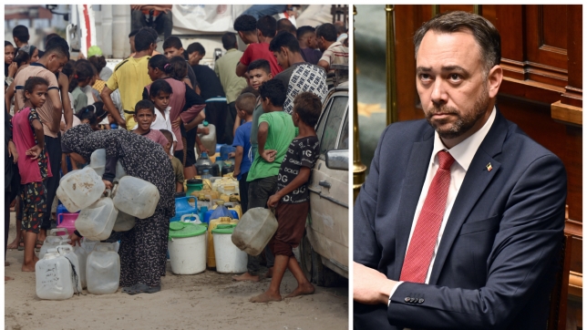 ipiccy_image (70).jpg