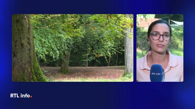 Le parquet est revenu sur les agressions commises dans le Bois de la Cambre. Il confirme que 2 violeurs ont été placées sous mandat d'arrêt. Au total, 13 plaintes ont été enregistrées. Cette double arrestation est rassurante pour les établissements du bois et pour leur clientèle.