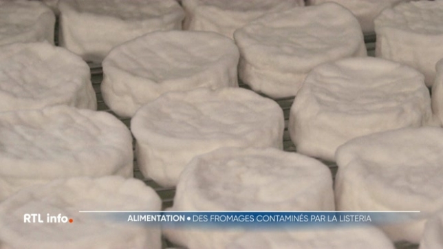 La bactérie Listeria présente dans un lot de fromage vendu par Colruyt Group a fait deux morts en France et les fromages sont vraisemblablement également infectés en Belgique car une contamination a été recensée aujourd'hui.