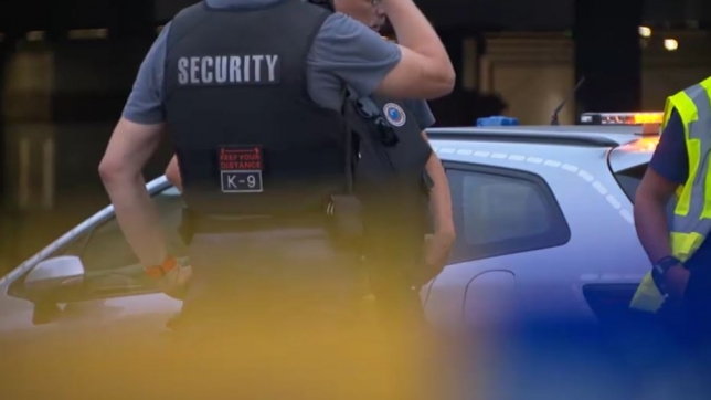 Capture securail.JPG