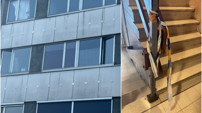 ipiccy_image (80).jpg