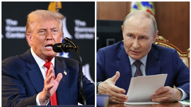 ipiccy_image (73).jpg