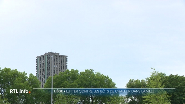 Durant les canicules, c'est en ville qu'il fait le plus chaud. Le béton et les briques emmagasinent la chaleur, créant ce que l'on appelle des îlots de chaleur. Pour y remédier, Liège a lancé un plan de végétalisation il y a cinq ans, et les premiers effets sont déjà visibles.