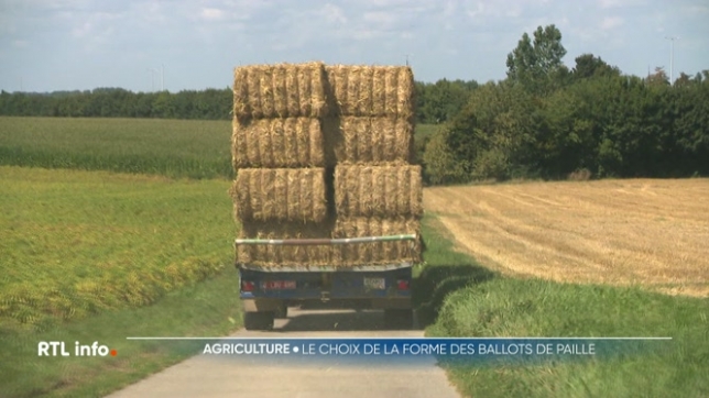 La moisson touche à sa fin dans la plupart des régions. L’occasion de se poser la question suivante : « Pourquoi les agriculteurs confectionnent-ils des ballots de paille de différentes formes : rectangulaires ou rondes ? ». Quels sont les avantages de l’une et de l’autre ?