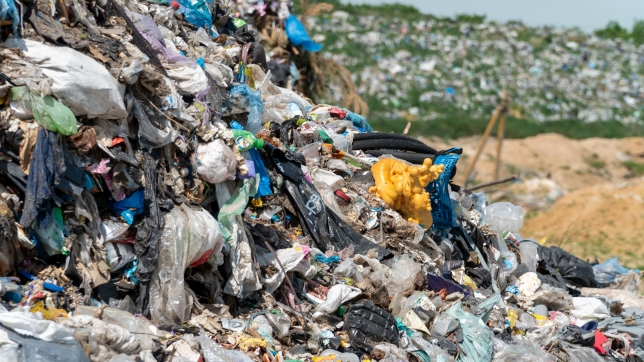 Image d’illustration