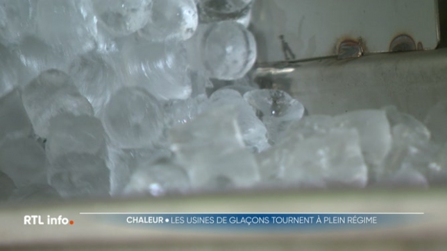Chaque jour, une entreprise de Malmedy produit 5 tonnes de glaçons en moyenne. Les fortes chaleurs impactent le rendement car les machines souffrent. Il faut également puiser dans les réserves pour honorer les contrats. A cela s'ajoute la concurrence espagnole, avec un prix de 30 à 40% moins cher.