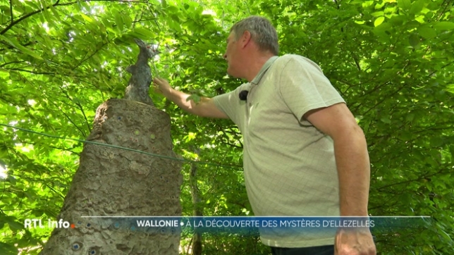 C'est depuis Ellezelles, dans le Hainaut, que nous vous envoyons notre carte postale de l'été. Un coin de paradis pour les randonneurs, où la nature se fait sauvage et où les légendes, notamment celles des sorcières, prennent vie.