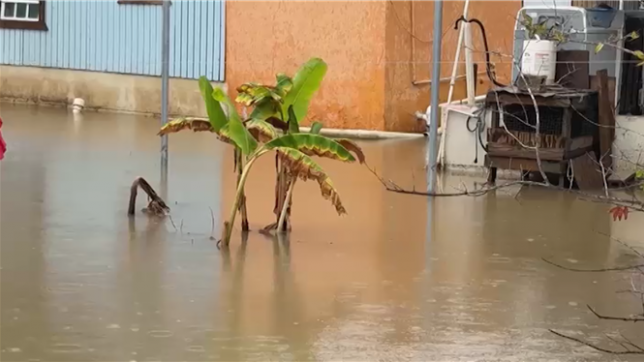 L'ouragan Erin s'approche des Bahamas, et de la côte américaine