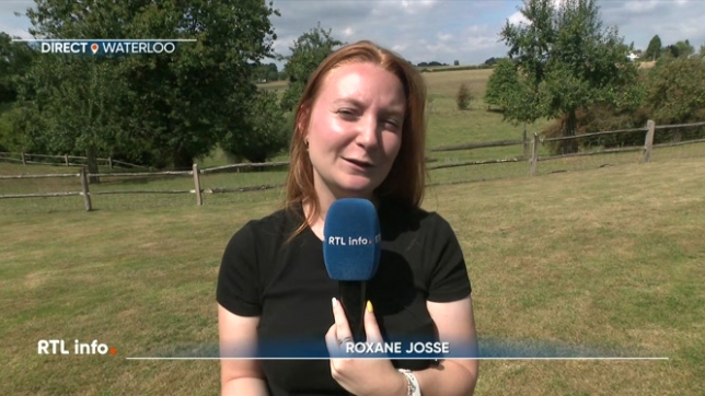 Températures élevées et sécheresse ont tendance à brûler les pelouses dans les jardins. Voici quelques conseils pour tenter de sauver une pelouse jaunie, avec Roxane Josse.