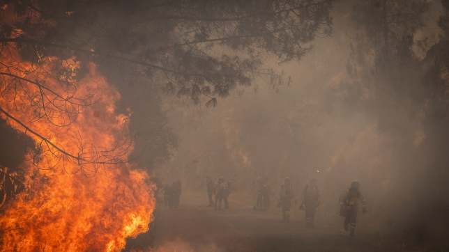 2025-08-18T082921Z_583318461_RC209GAPSJA0_RTRMADP_3_EUROPE-WEATHER-SPAIN-WILDFIRE