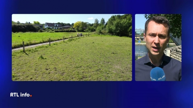 La cellule sécheresse, qui réunit les acteurs clés du secteur de l’eau en Wallonie, se réunit ce mardi. Elle va évaluer les risques liés à la vague de chaleur qui a sévi sur nos contrées la semaine dernière. Les niveaux de vigilance devraient être relevées dans le Sud du pays.