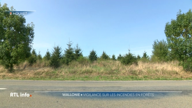 La cellule sécheresse s'est réunie ce mardi et a décidé d'augmenter la vigilance en matière d'incendie en forêt et en milieux ouverts. Surtout pour demain en raison des températures élevées. Un risque qui passera de faible à modéré, voire élevé localement.