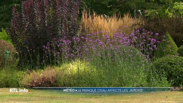 Nous avons connu deux épisodes caniculaires cet été. Par cette chaleur extrême et un temps si sec, les jardins souffrent. Alors, comment faire pour conserver une pelouse bien verte, un jardin bien fleuri et un potager luxuriant ?