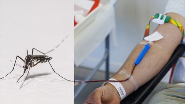 ipiccy_image (19).jpg