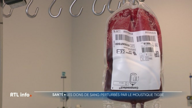 Tous les Belges qui ont voyagé en Alsace ou dans le sud de la France ne pourront pas donner leur sang pour l'instant à cause de la présence de moustiques tigres. La Croix-Rouge manque donc cruellement de sang et lance un appel au don super urgent.