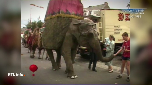 Août 1988, des animaux sauvages étaient transportés en cage dans les rues d'Aubel pour la fête communale Alice au pays d'Aubel.