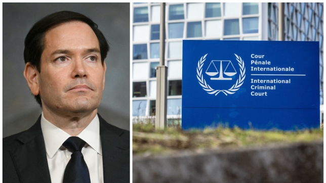 ipiccy_image (82).jpg