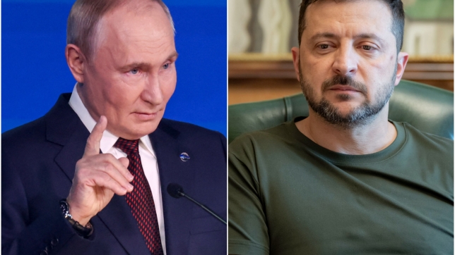 ipiccy_image (2).jpg