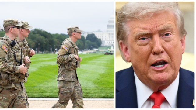 ipiccy_image (85).jpg