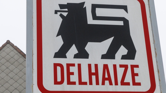 Belgaimage-110539417 (1).jpg