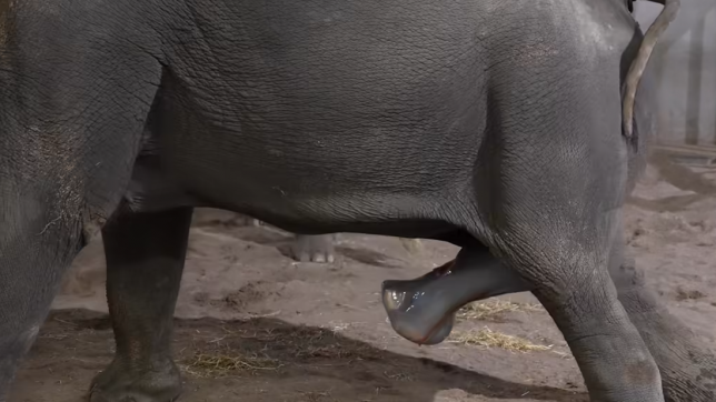 Capture d'écran 2025-08-23 121519.png