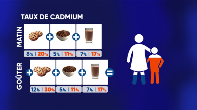 Une récente enquête française a mis en évidence la présence de cadmium, un métal lourd, dans plusieurs produits à base de cacao.