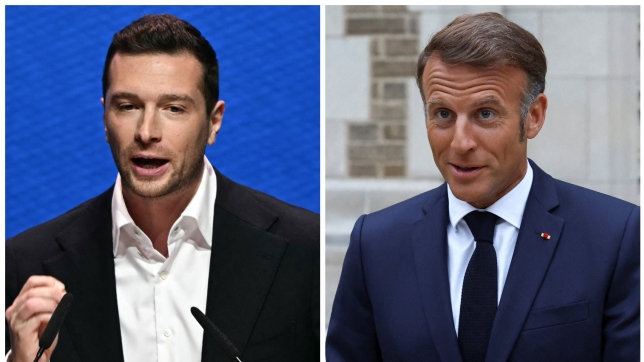 ipiccy_image (91).jpg