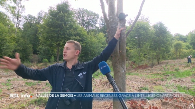 Le WWF tente d'identifier et de recenser les animaux sauvages grâce à l'intelligence artificielle, au parc naturel de la Semois, en province de Namur et de Luxembourg.