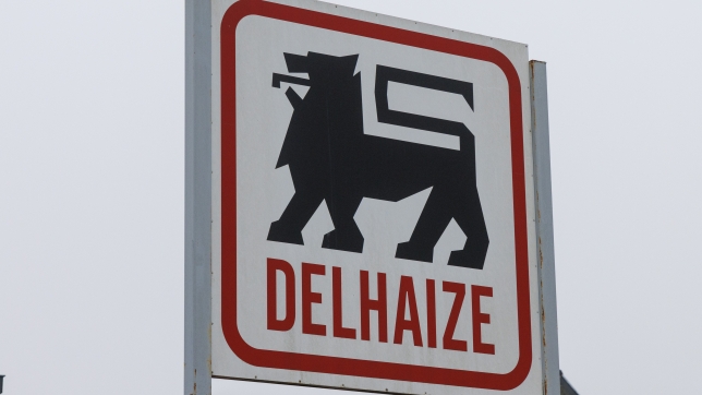 Belgaimage-110539321 (1).jpg