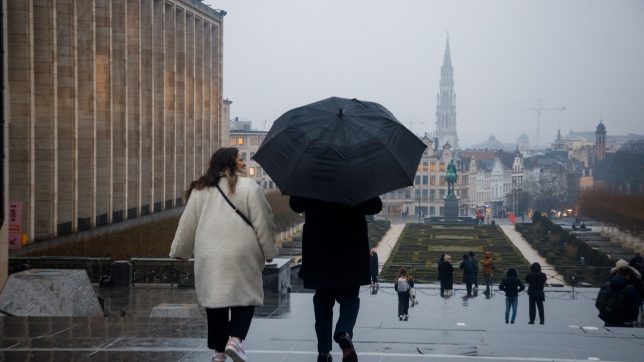 Belgaimage-112153245.jpg