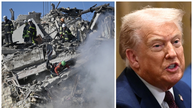 ipiccy_image (96).jpg